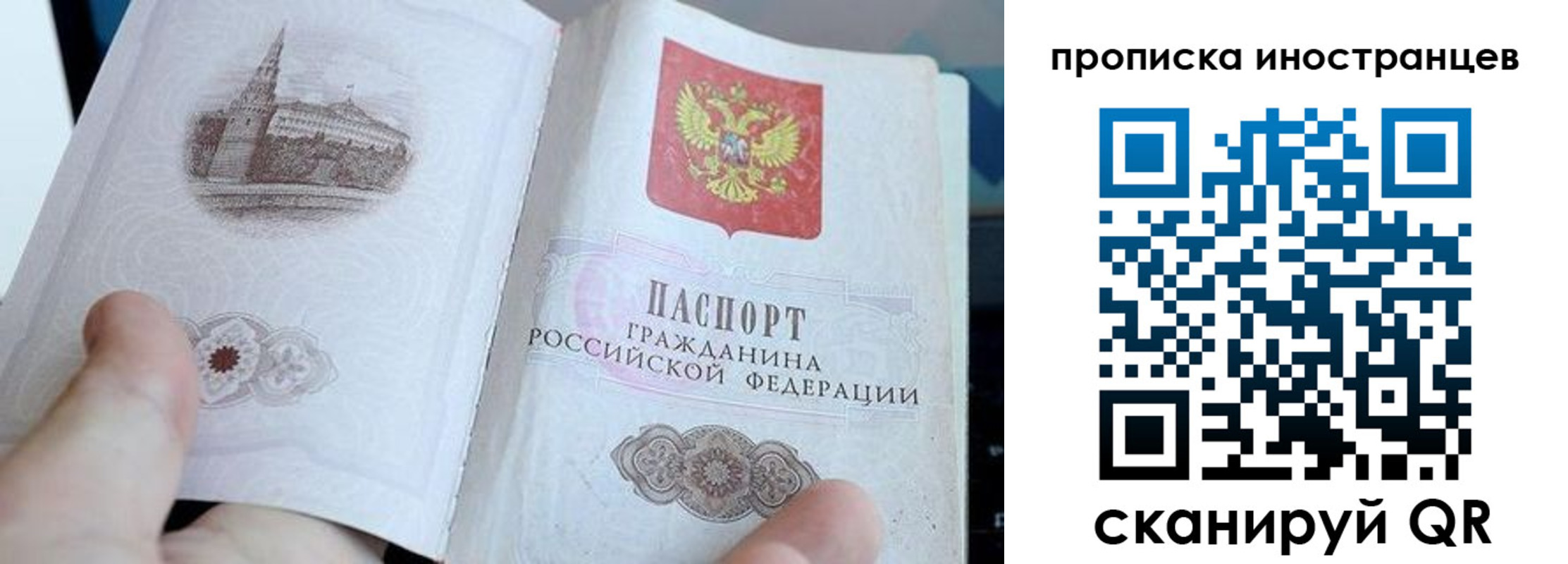прописка поиск в Новороссийске